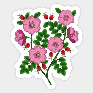 Dog Rose Sticker